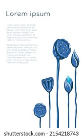 Vector card with blue lotuses and stems and copy space. Botanical banner with buds and flowers on a white background. Template with water lilies and seed pods on thin vertical stalk and place for text