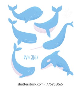 Vector card with blue whale, sperm whale, narwhal, killer whale and humpback whale