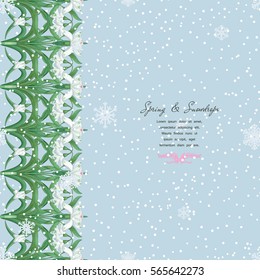 Vector card. Border of spring snowdrop flowers. Snowfall foreground. Place for your text.