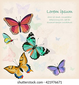 Vector card with butterflies. Silhouettes of different butterflies. Place for you text. Perfect for greetings, invitations, announcement, wedding design.
