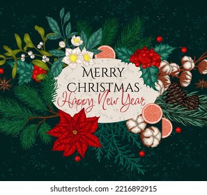 Vector card with Christmas plants. Christmas tree branch with cones, pine, holly, thuja, mistletoe, cotton, poinsettia, hellebore