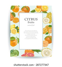 Vector card with citrus fruits and place for your text. Vector illustration for your design