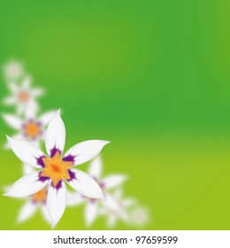 Vector card with colours on it is yellow a green background