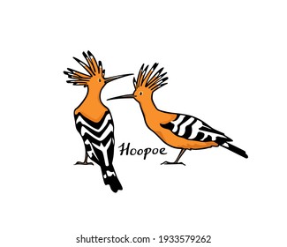 Vector card with a couple of hand drawn sweet Hoopoes. Ink drawing, graphic style. Beautiful animal design elements.
