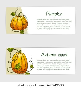 Vector card with cute hand drawn illustration of decorative pumpkins. 