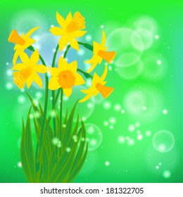 Vector card with daffodils on light green bokeh background. 