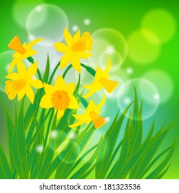 Vector card with daffodils on light green bokeh background. 