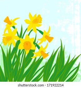 Vector card with daffodils on textured background. Template for Easter promotion, flower shop gift card, soap package, spring sale coupon, perfume box design, Mother's day card, wedding invitation