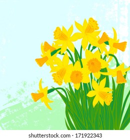 Vector card with daffodils on textured background. Template for Easter promotion, flower shop gift card, soap package, spring sale coupon, perfume box design, Mother's day card, wedding invitation