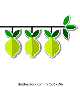 Vector card decorated with stylized lemon branch with three ripe fruits isolated on the white background with shadow. Good for design of banner, poster, website, menu, label, etc.
