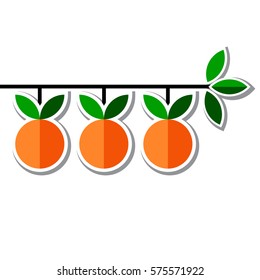 Vector card decorated with stylized orange branch with three ripe fruits isolated on the white background with shadow. Good for design of banner, poster, website, menu, label, etc.