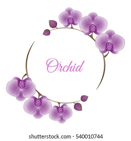 Vector card with decorative flowers of orchids. Can be used for wedding, baby shower, mothers day, valentines day, birthday cards, invitations, greetings.