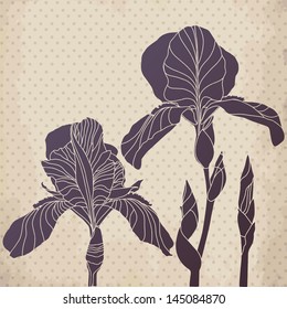 Vector card with decorative  iris flower on aged background. Vector background.