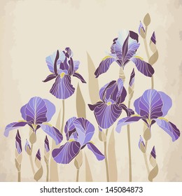 Vector card design  with decorative  iris flower on aged background. Vector background.