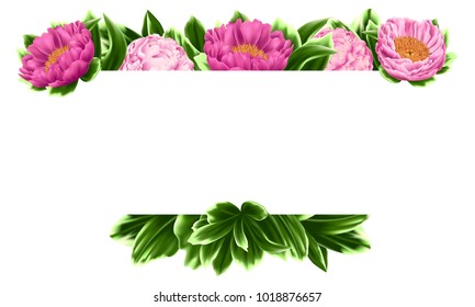 Vector Card Design with Green Leaves, Pink Peonies and Place for Text