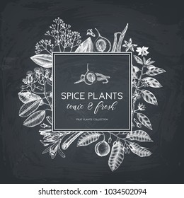 Vector card design with hand drawn spices. Decorative background with aromatic and tonic fruits plants sketch. Vintage kitchen template. Food ingredients on chalkboard