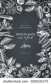 Vector card design with hand drawn spices. Decorative background with aromatic and tonic fruits plants sketch. Vintage kitchen template. Food ingredients.