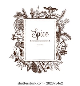 Vector card design with hand drawn spices and herbs. Decorative colorful background with vintage spice sketch.