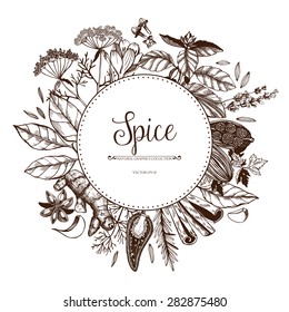 Vector card design with hand drawn spices and herbs. Decorative colorful background with vintage spice sketch.