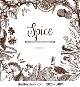 Vector Card Design With Hand Drawn Spices And Herbs. Decorative Colorful Background With Vintage Spice Sketch.