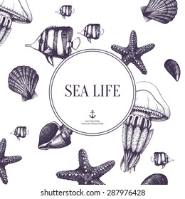 Vector card design with hand drawn small fish, sea shells, sea star and jellyfish sketch. 