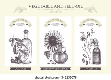 Vector card design with hand drawn vegetables and seed-oil illustration. Vintage healthy food illustration. Decorative engraved oil sketch isolated on white.