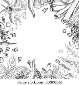 Vector card design with hand drawn spice.