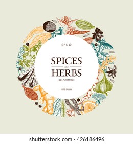 Vector card design with hand drawn spices and herbs. Decorative colorful background with vintage aromatic plants sketch.