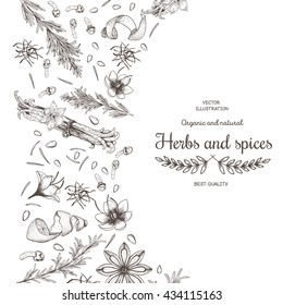 Vector card design with hand drawn spices and herbs.