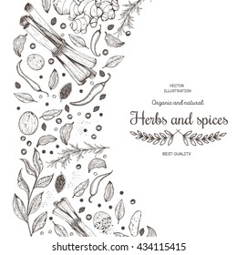 Vector Card Design With Hand Drawn Spices And Herbs.