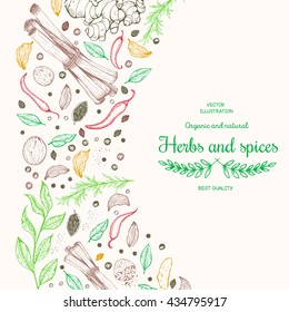 Vector card design with hand drawn spices and herbs.