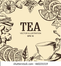 Vector card design with hand drawn tea illustration. Decorative inking background with vintage tea sketch. Hand draw picture.
