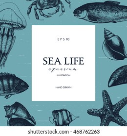 Vector card design with hand drawn sea life illustration - mussels, fish, crab, starfish, squid, jellyfish, lobster sketch. 
