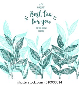 Vector card design with hand drawn tea leaves. Vector illustration for tea shop design.