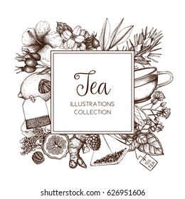 Vector card design with hand drawn tea illustration. Decorative inking background with vintage tea sketch. Sketched template