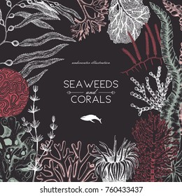 Vector card design with hand drawn sea corals, fish, stars sketch. Vintage background with underwater natural elements. Decorative sealife illustration. Wedding template