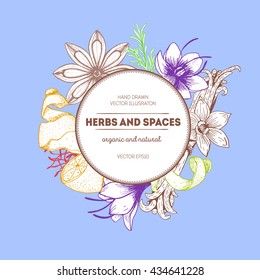 Vector card design with ink hand drawn spice sketch. Vintage illustration.