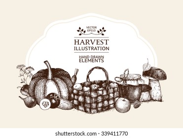 Vector card design for Thanksgiving day with ink hand drawn autumn illustration. Harvest template