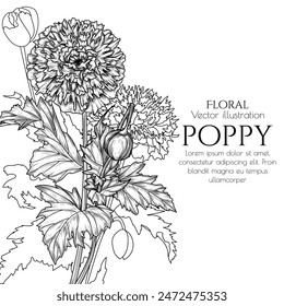 Vector card of double poppy  in engraving style
