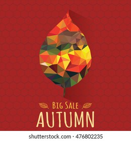 Vector card. Eps 10. Business card. Vector illustration on the background of autumn leaves. 