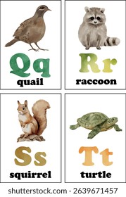 Vector card featuring letters Q, R, S, T with fun animal illustrations. Ideal for preschool materials, homeschooling, and educational posters.