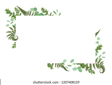 Vector card floral design with green watercolor, eucalyptus, forest fern, herbs, eucalyptus, branches boxwood, buxus, botanical green, decorative horizontal frame, square. Cute greeting, postcard temp