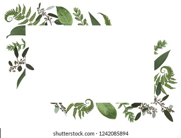 Vector card floral design with green watercolor, eucalyptus, forest fern, herbs, eucalyptus, branches boxwood, buxus, botanical green, decorative horizontal frame, square. Cute greeting, postcard 