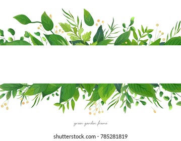 Vector Card Floral Design With Green Watercolor Fern Leaves, Tropical Forest Greenery Herbs Decorative Frame, Border. Elegant Beauty Cute Watercolor Rustic Greeting, Wedding Invite, Postcard Template
