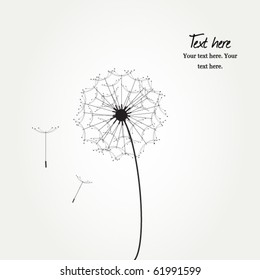	Vector card with flower, dandelion on grey