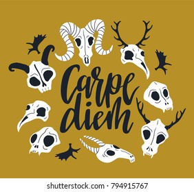 Vector card with frame of animal skulls and lettering - 'Carpe diem'. Halloween or Day of the dead background with cute skulls.