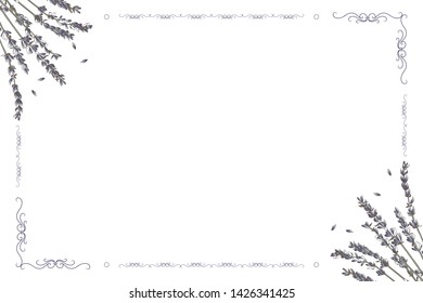 Vector card frame with lavender flowers on a white background