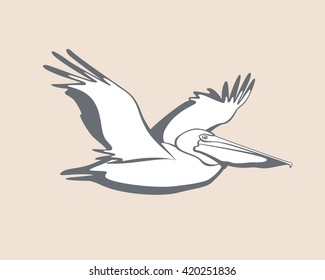 10+ Best For Line Drawing Flying Pelican | Charmimsy