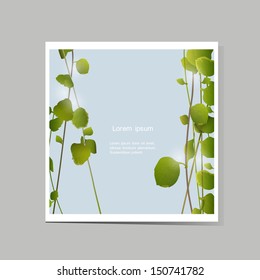 Vector card with green leaves