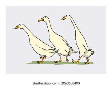 Vector card with a group of cute hand drawn white Indian Runner ducks. Ink drawing, graphic style. Beautiful farm products design elements. svg
